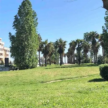 Vita Marina